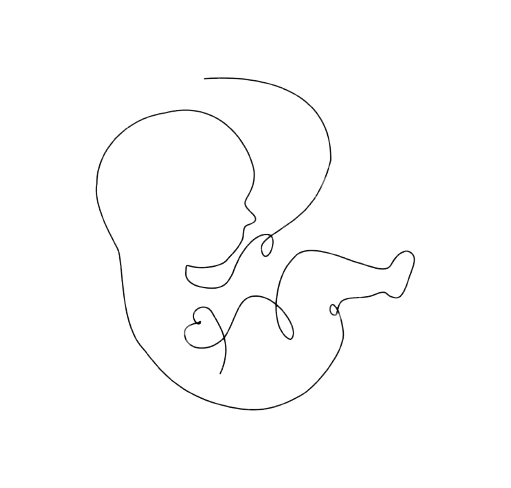 Illustration : Nourrissons & bébés